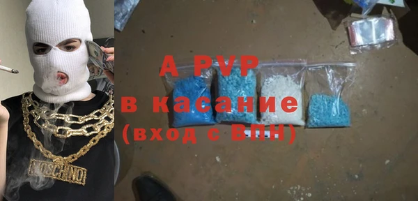 индика Алексин