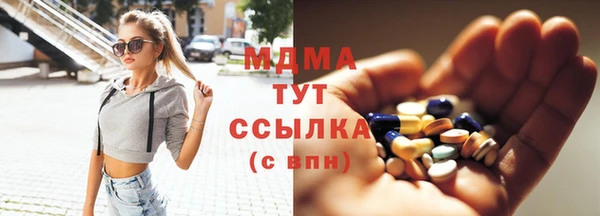 индика Алексин