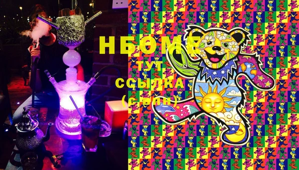 индика Алексин
