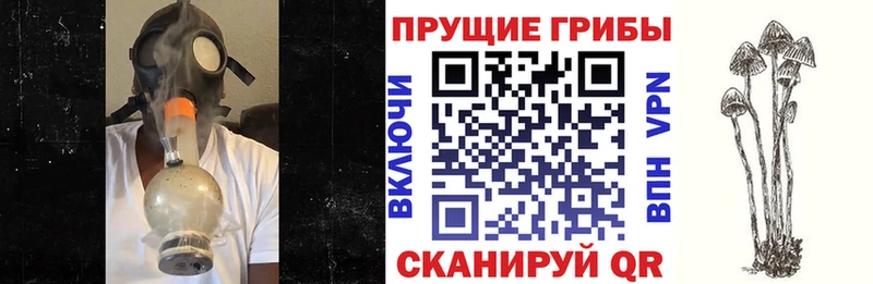 Галлюциногенные грибы мухоморы Похвистнево