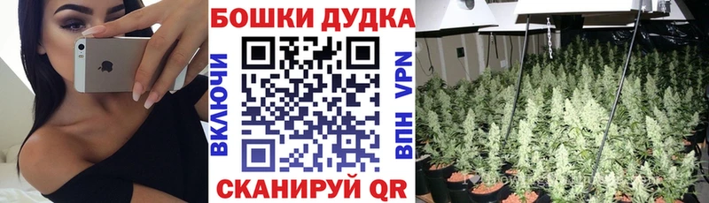 Конопля MAZAR Похвистнево